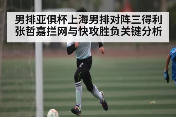 男排亚俱杯上海男排对阵三得利 张哲嘉拦网与快攻胜负关键分析 | ng28.h5